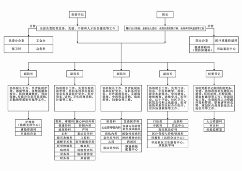 2013年最新医院组织架构图